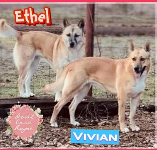 Photo of Ethel and Vivian