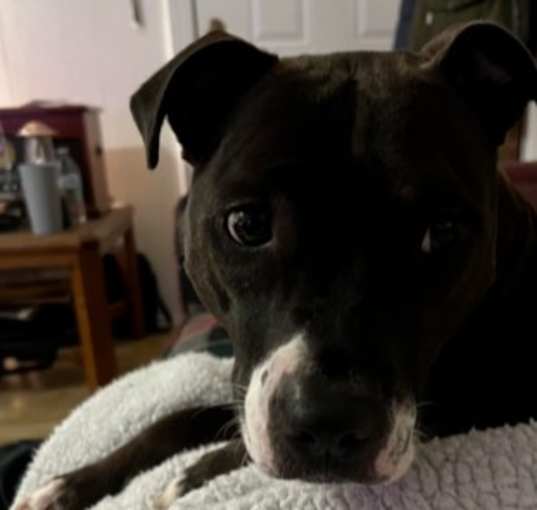 Photo of Marleigh
