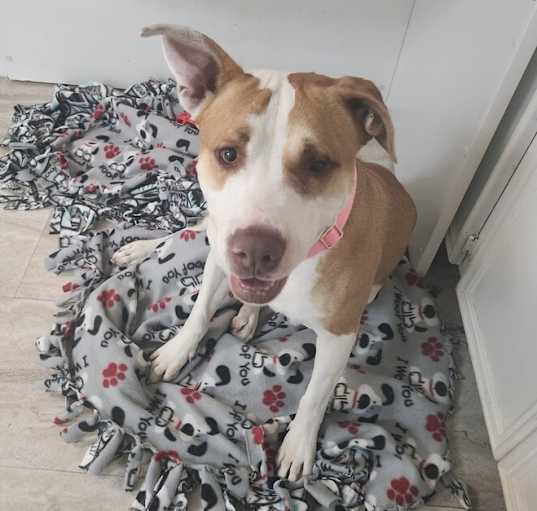 Photo of Pearl