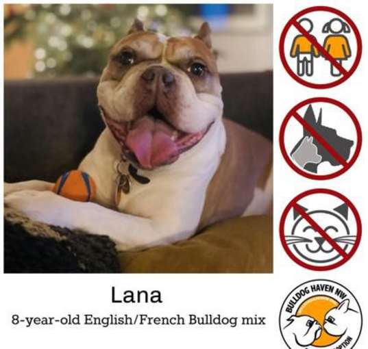 Photo of LANA