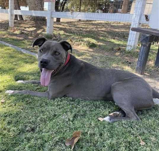 Photo of Duke