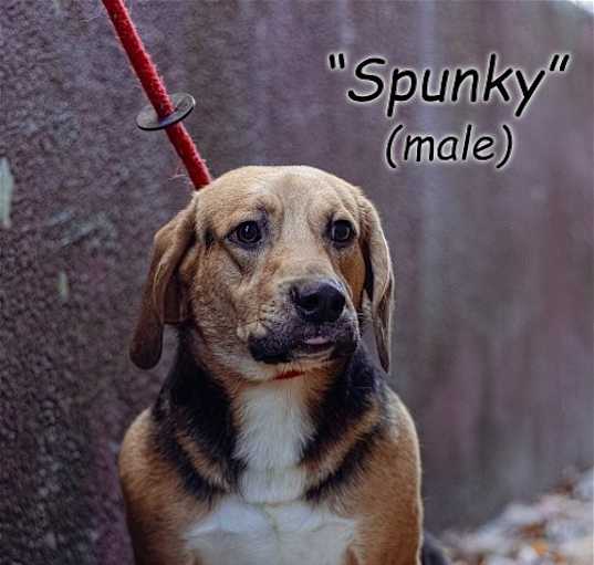 Photo of Spunky