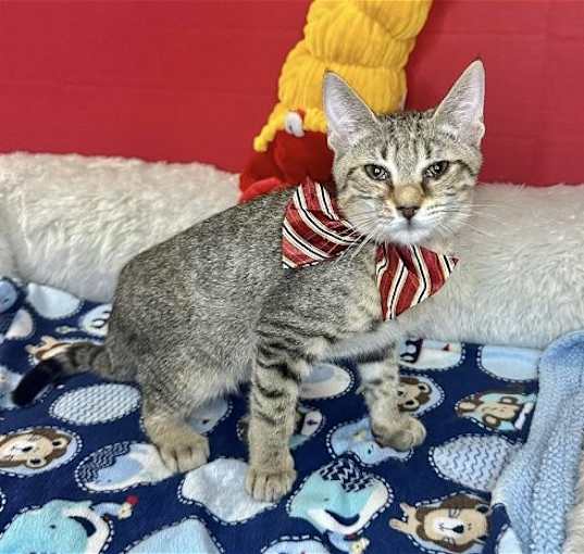 Photo of ZIMBA
