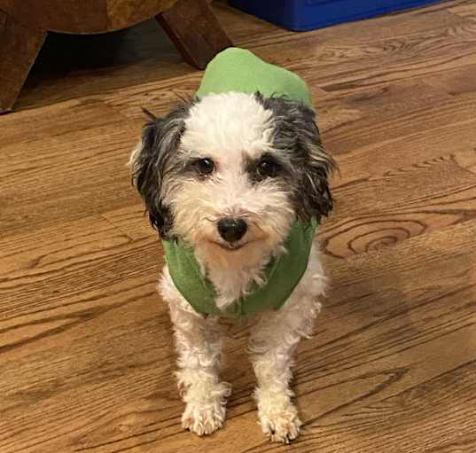 Photo of Macy