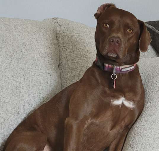 Photo of Lily