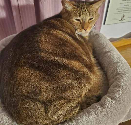 Photo of Marble