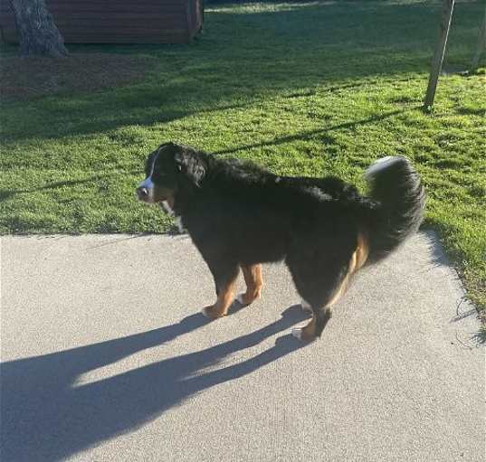 Photo of SABRE