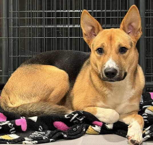 Photo of Xena