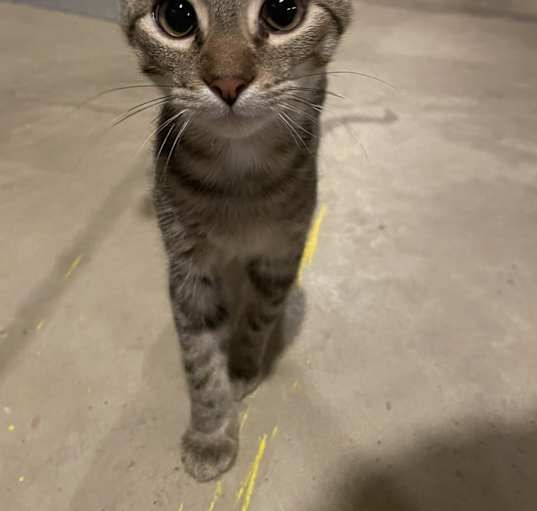 Photo of Percy