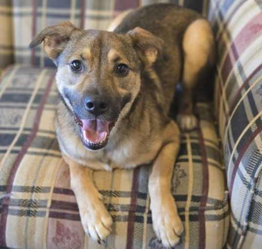 Photo of Linus (Rio)