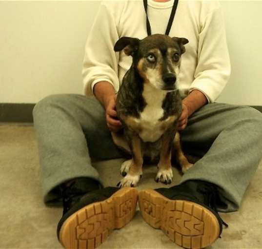 Photo of Ruger