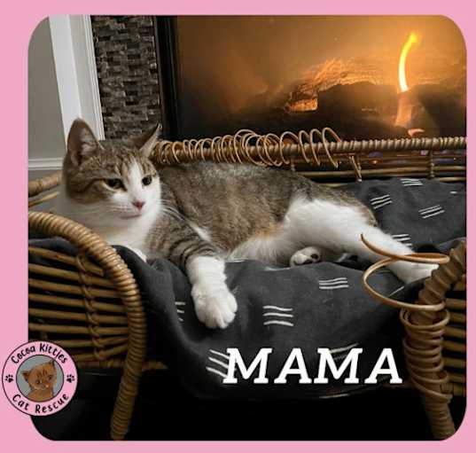 Photo of Mama