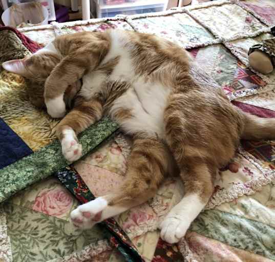 Photo of Sally