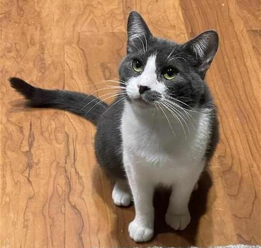 Photo of Anya