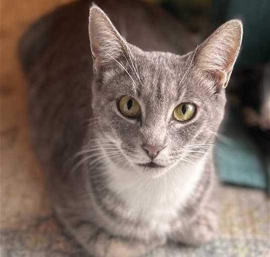 Photo of Stella [CP]