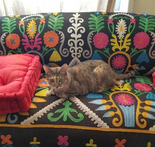 Photo of One lovable girl Lexi