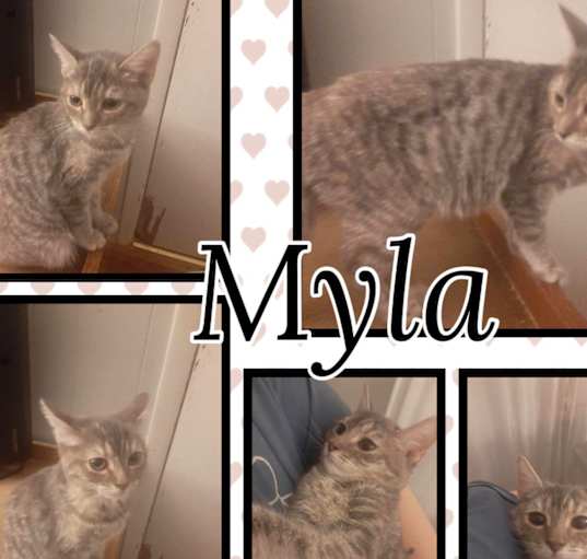 Photo of Myla