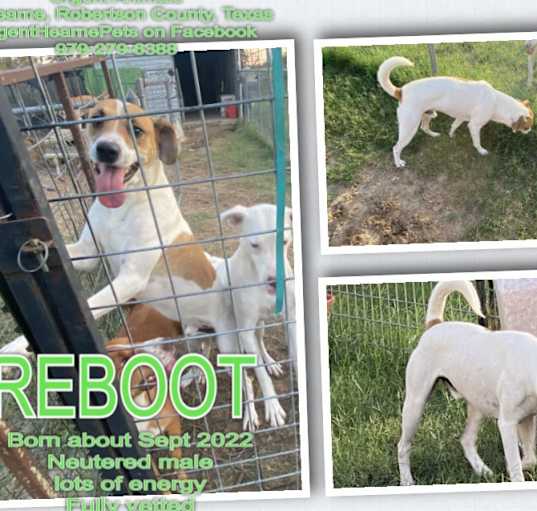 Photo of Reboot