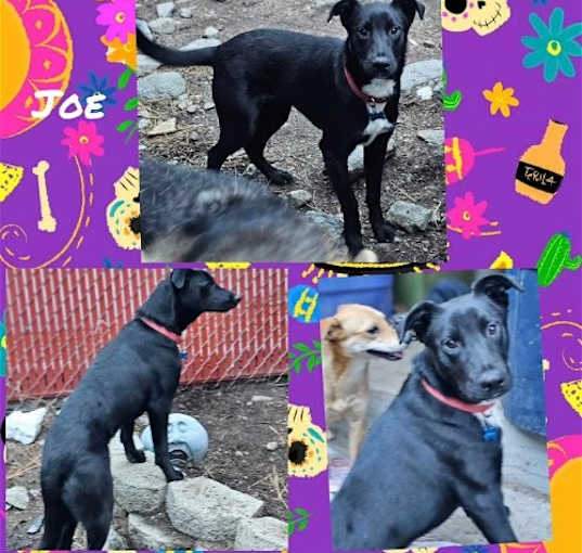 Photo of Jack