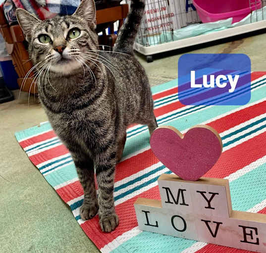 Photo of Lucy