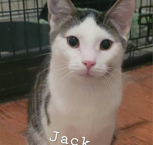 Photo of Jack