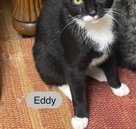 Photo of Eddy