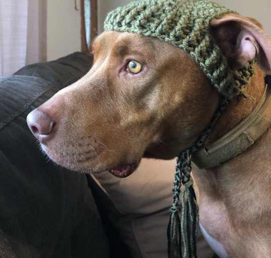 Photo of Rocky