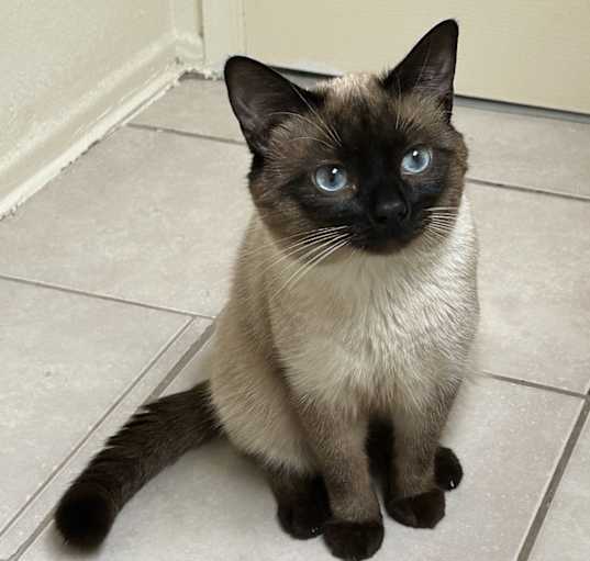 Photo of Zero