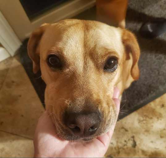 Photo of Stanley