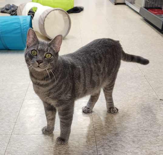 Photo of Duncan