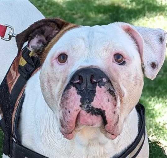 Photo of Hercules