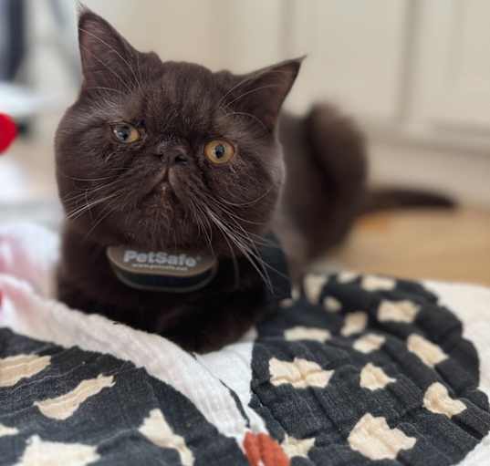 Photo of Theo