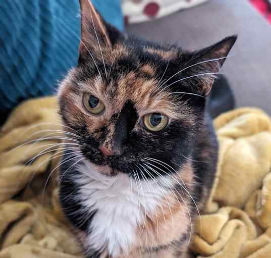 Photo of Esther