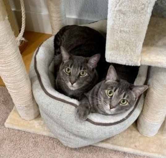 Photo of Jill 05-4146