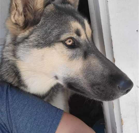 Photo of Kai