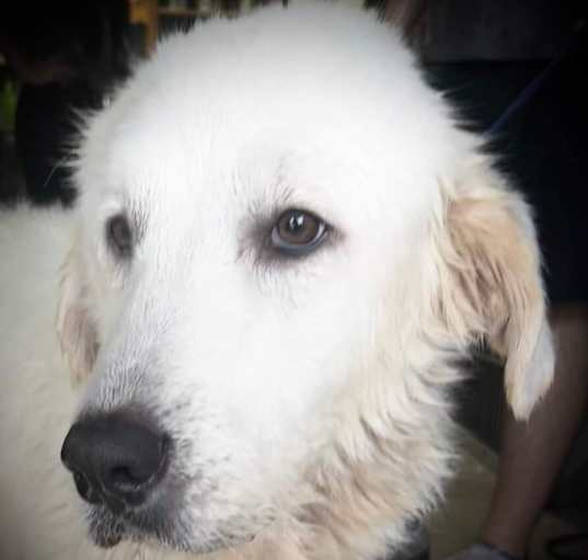 Photo of Ellie 2