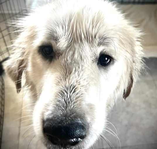 Photo of Charlie
