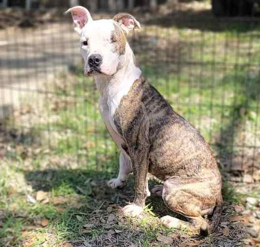 Photo of Lexxi