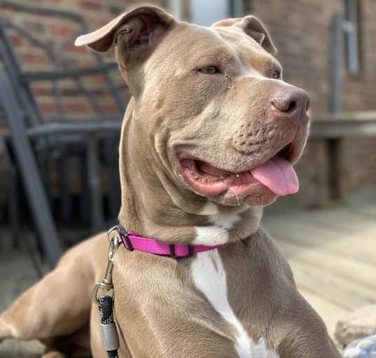 Photo of Ellie
