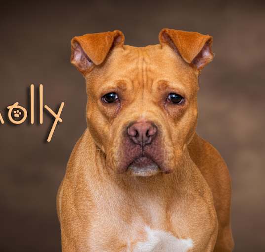 Photo of Molly