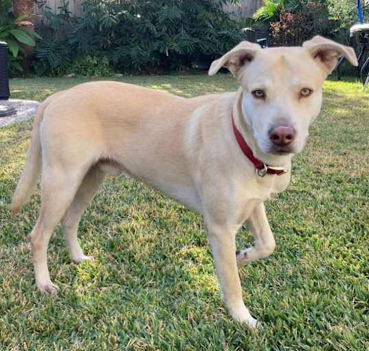 Photo of Dunkin