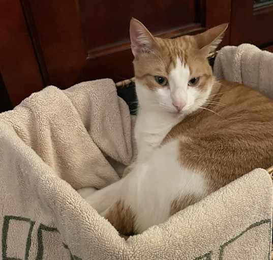 Photo of Zeke
