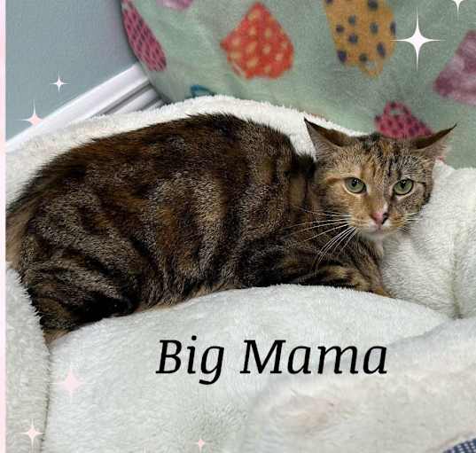 Photo of Big Mama