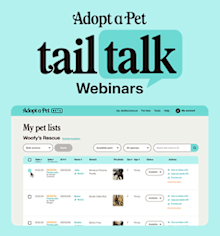What's New at Adopt a Pet in June 2025