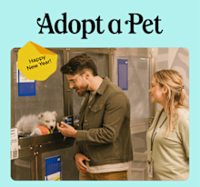 What's New at Adopt a Pet in January 2025