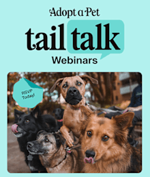 What's New at Adopt a Pet in March 2025