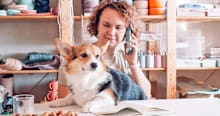 Am I Too Busy for a Dog?