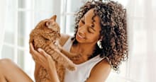 Here’s Why Domestic Shorthair Cats Are Good Pets