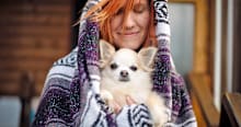 Why You Should Consider Adopting from a Chihuahua Rescue