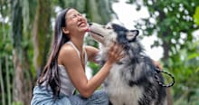 Why Does My Dog Lick Me So Much?